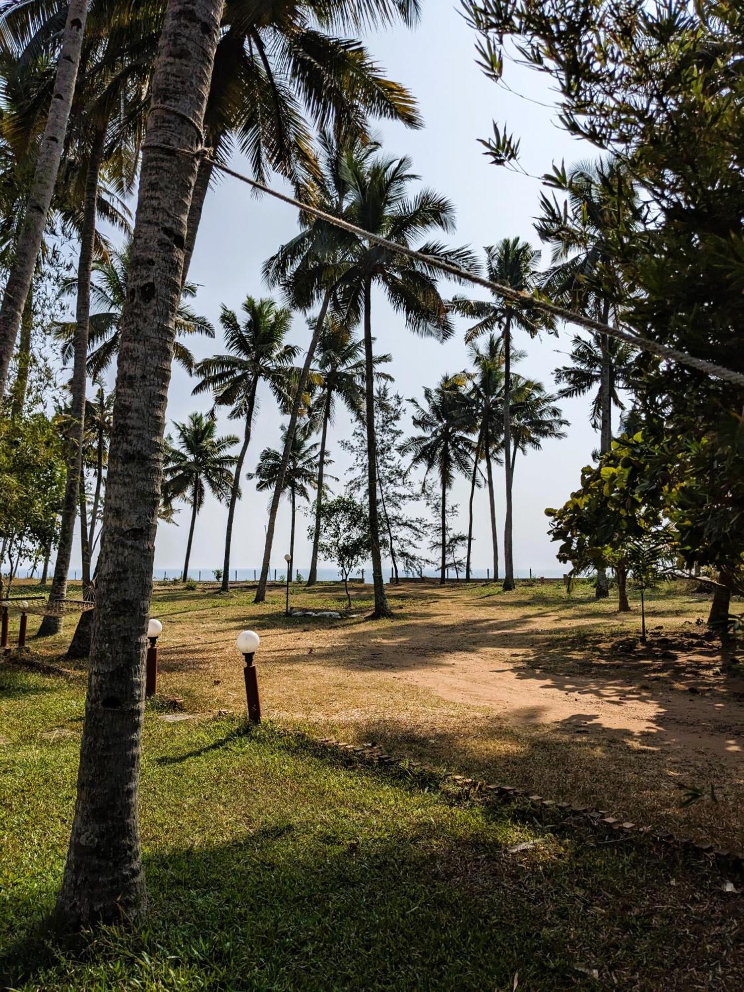 Baycliff Cottages Varkala Eksteriør billede
