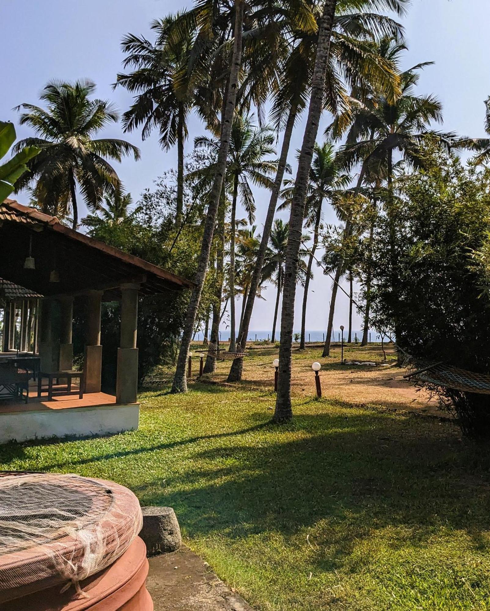 Baycliff Cottages Varkala Eksteriør billede