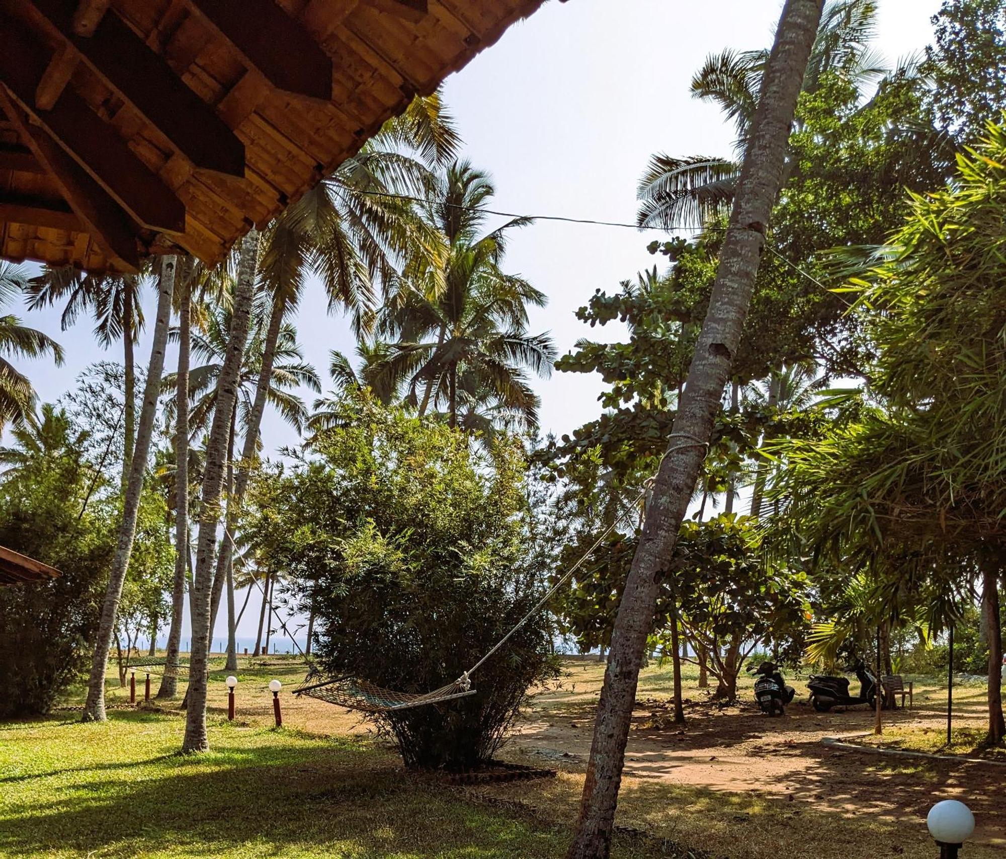 Baycliff Cottages Varkala Eksteriør billede
